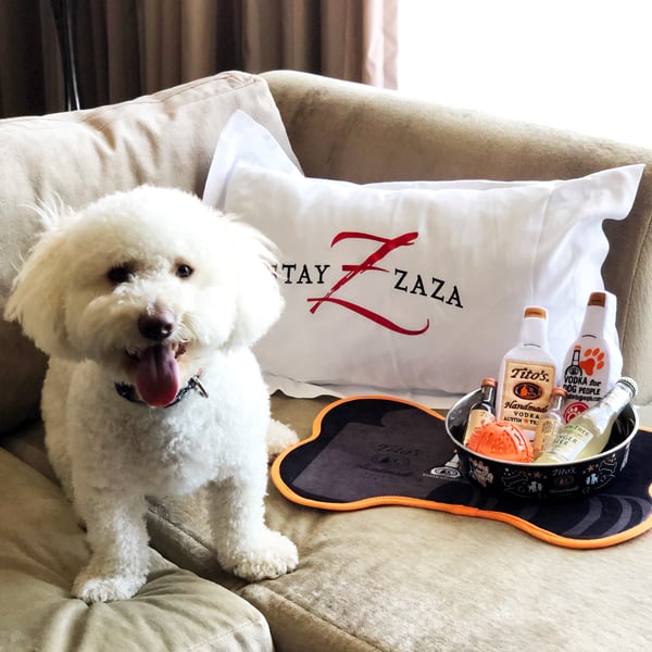 Dog-Titos-Package-EMAIL